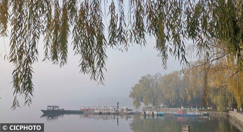 五彩果冻消消乐