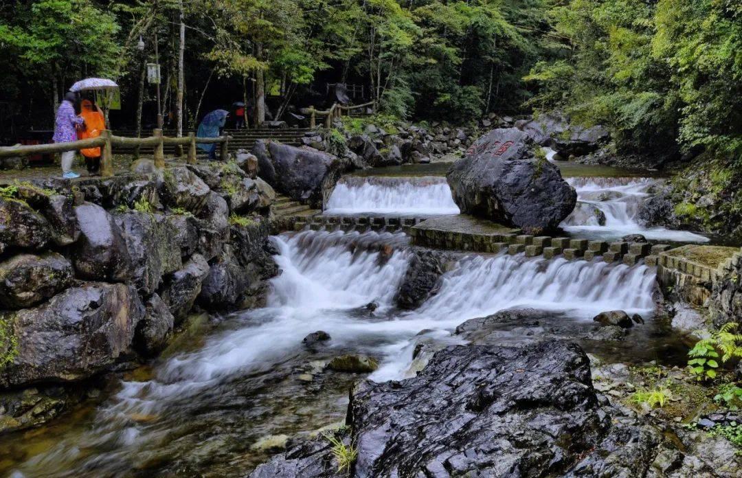 高陵区2024年全民健身季系列活动圆满举办