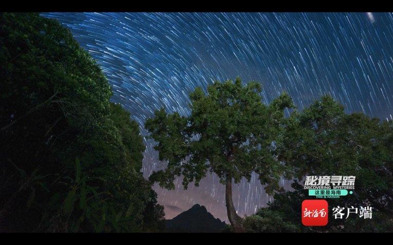 救援音乐系学生