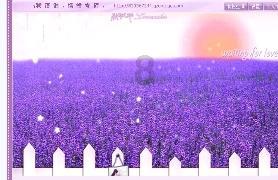 网页游戏