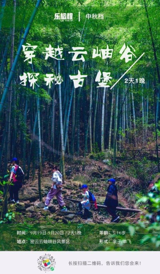创作猫