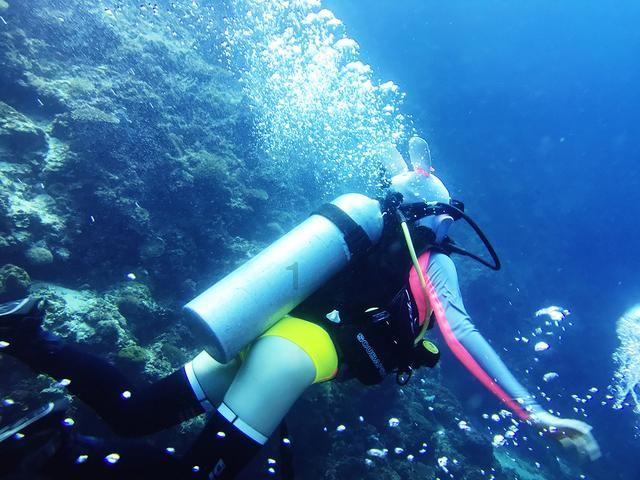逃离水虎鱼湖