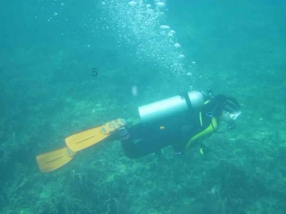 绿钻石进宝箱