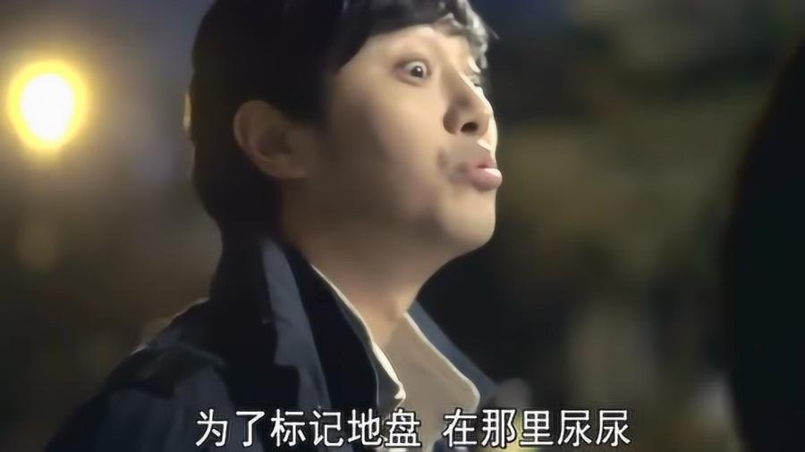 救援可爱的狮子