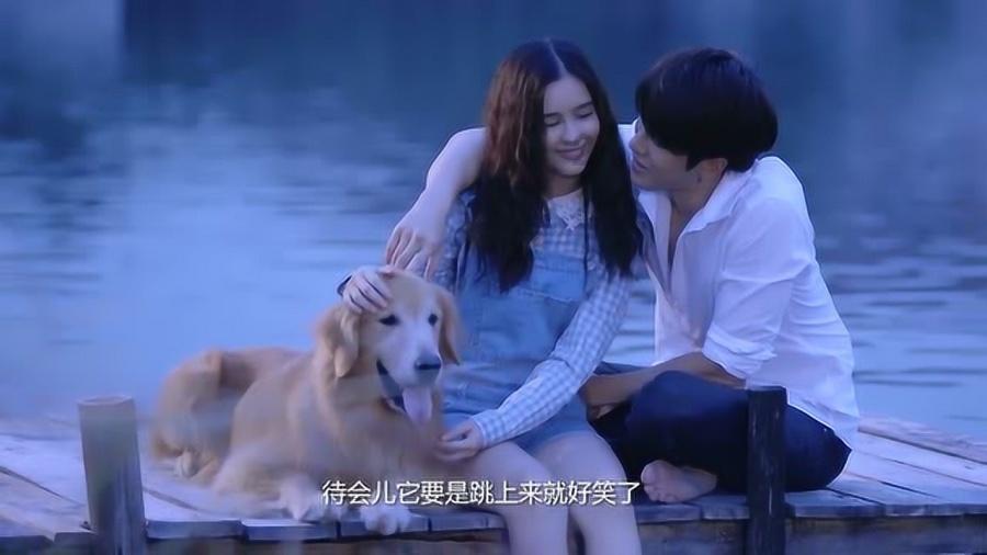 像素排球大作战
