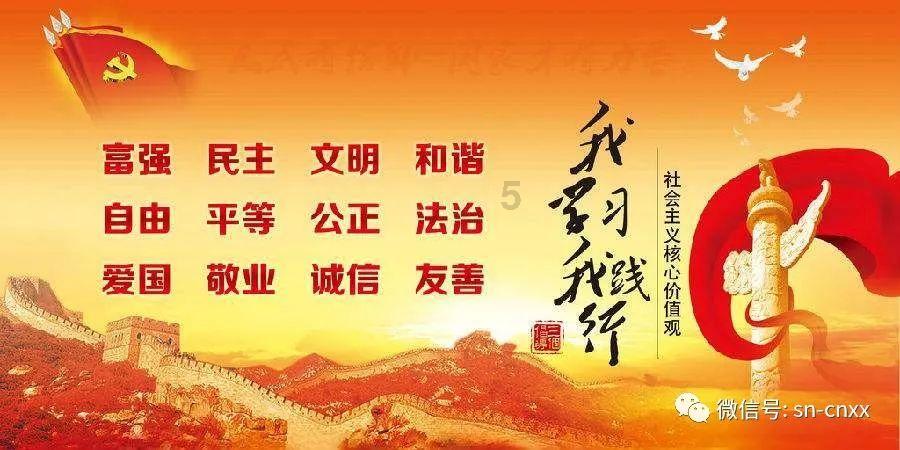 小鸡要回家