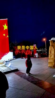 虫虫助手下载