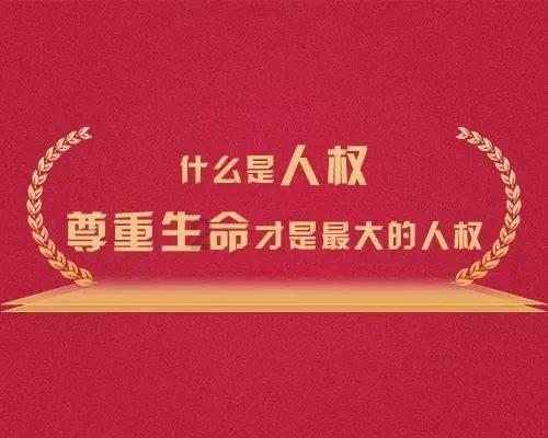 【MG动画】蓝图绘就 目标已定 陇原儿女们准备好了吗？