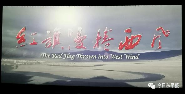 小猫钓鱼开船版最新版下载