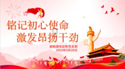 全民剧本大师内置菜单