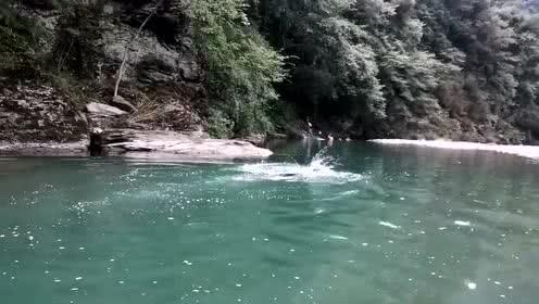 虎胆熊威3