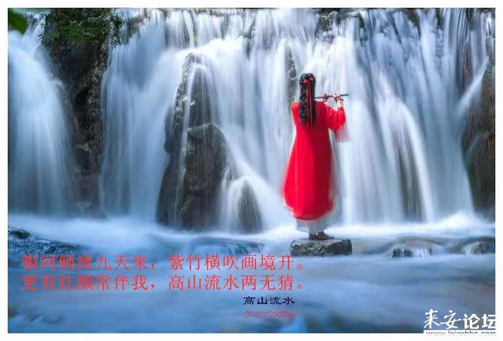 沪江开心词场