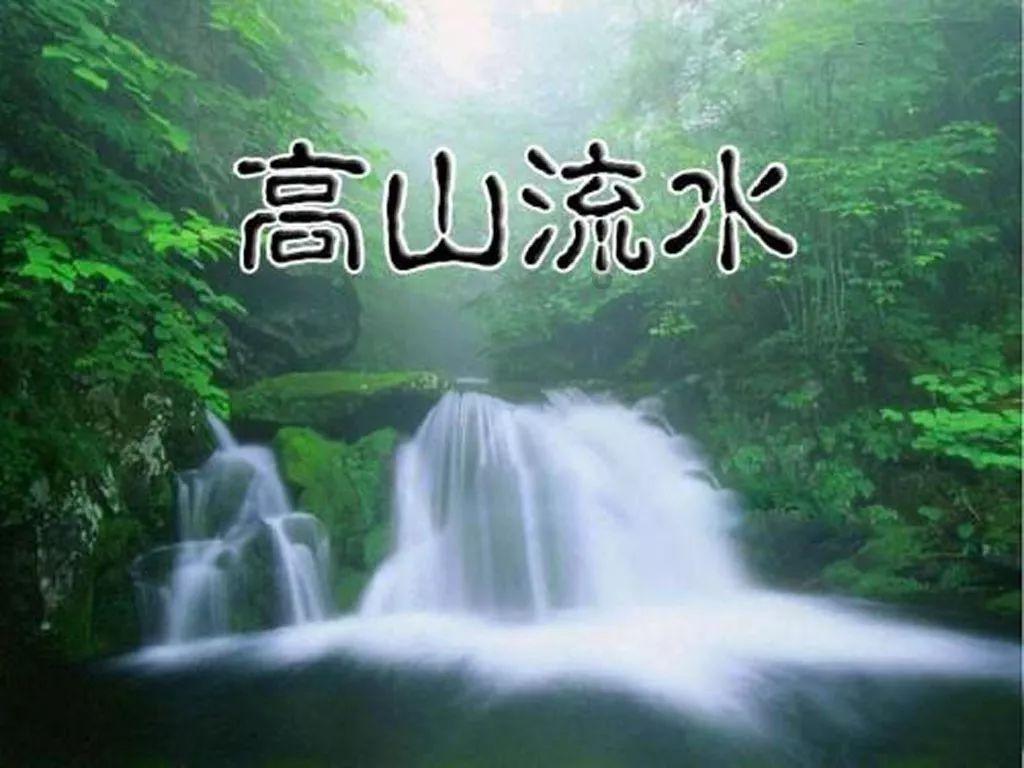 针织裙