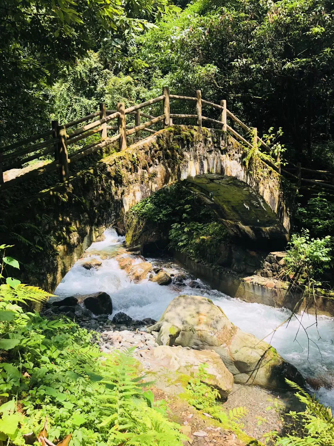 逃离违建房屋5