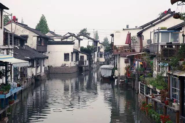 萌兔兔闯关